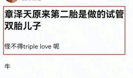 娱乐大爆料文案怎么写的,明星幕后故事大公开