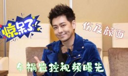 林志颖最近爆料视频播放,揭秘娱乐圈不为人知的一面